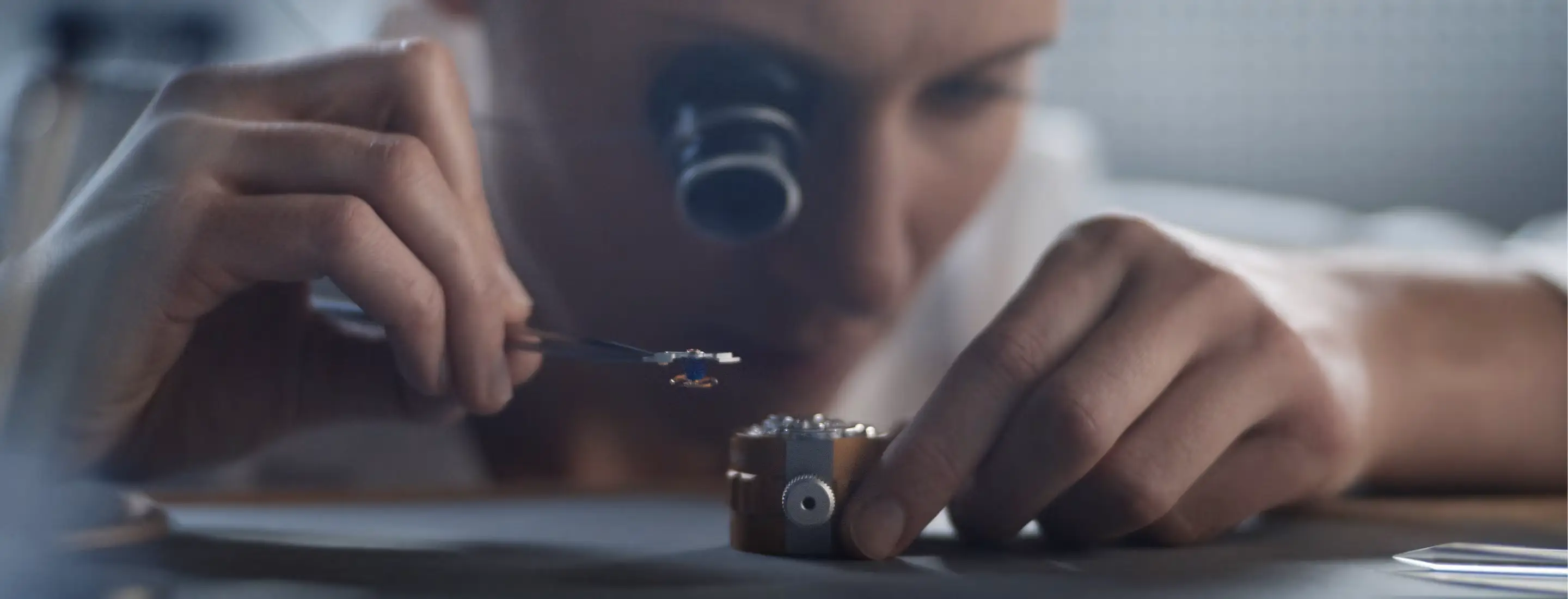 Savoir-Faire horloger