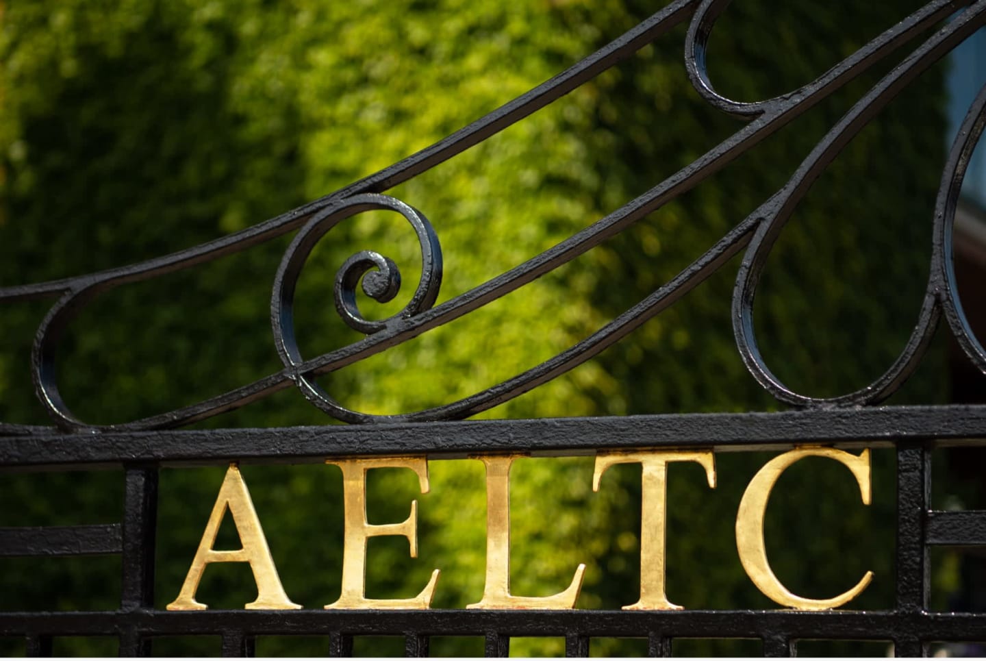 The Championships, Wimbledon
